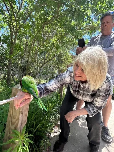 Feeding a parrot